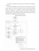 Desenho Fluxograma do Processo.