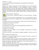 Sistema da informação