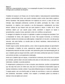 ORGANOGRAMA COMPORTAMENTO ORGANIZACIONAL