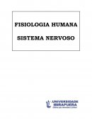 FISIOLOGIA HUMANA SISTEMA NERVOSO