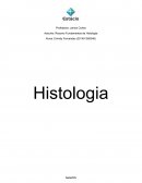 Resumo Fundamentos da Histologia