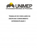 TRABALHO DE CONCLUSÃO DA DISCIPLINA CONHECIMENTO INTERDISCIPLINAR V