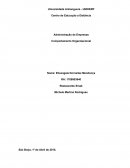 Administração de Empresas Comportamento Organizacional