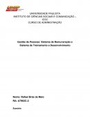 Sistema de Remuneração e Sistema de Treinamento e Desenvolvimento