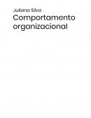 Comportamento Organizacional 1