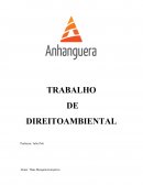 Trabalho direito ambiental