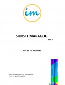 Modelo Projeto Sunset