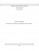 Conceitos Básicos de Administração, Contabilidade e Analise do Mercado