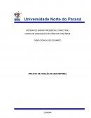 Projeto de Criação de uma empresa