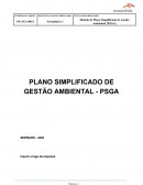 O PLANO SIMPLIFICADO DE GESTÃO AMBIENTAL