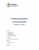 Analise Qualitativa de Aminoacidos