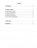 Trabalho individual portifolio 3°