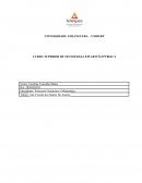 ESTRUTURA ORGANIZACIONAL E PLANO DE CAPACITAÇÃO E DESENVOLVIMENTO PARA OS DIRETORES E GERENTES E PARA O PESSOAL OPERACIONAL