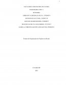 As Formas de Organização de Negócios no Brasil