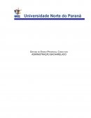 Potifolio individual 4º semestre unopar