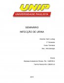 SEMINÁRIO A INFECÇÃO DE URINA