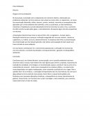 Resumo Crise Ambiental