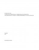 AS ÁREAS DAS COMPETÊNCIAS, ADMINISTRAÇÃO DA PRODUÇÃO, APLICABILIDADE DA LOGÍSTICA, EMPREENDEDORISMO E PLANO DE NEGOCIOS