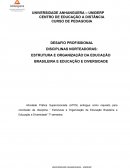 DESAFIO PROFISSIONAL DISCIPLINAS NORTEADORAS: ESTRUTURA E ORGANIZAÇÃO DA EDUCAÇÃO BRASILEIRA E EDUCAÇÃO E DIVERSIDADE