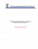 Portifolio individual 1 e 2 semestre administracao