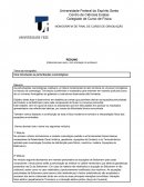 MONOGRAFIA DE FINAL DE CURSO DE GRADUAÇÃO