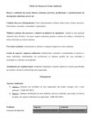 A Política do Sistema de Gestão Ambiental