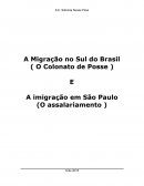 A Migração no Sul do Brasil (O Colonato de Posse)
