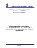 OBSERVAÇÃO E INTERVENÇÃO PRÁTICA NAS SÉRIES FINAIS DO ENSINO FUNDAMENTAL