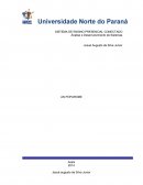 Portifolio individual 3semestre