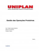 AS OPERAÇÕES PRODUTIVAS