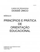 PRINCÍPIOS E PRÁTICA DE ORIENTAÇÃO EDUCACIONAL