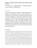 Potencial de produção de biodiesel a partir de óleo de palma no Brasil Amazonas