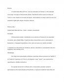 Os tijolos renascentistas de Brunelleschi