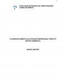 O desenvolvimento da atividade empresarial frente à gestão ambiental