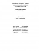 Economia Teorias da Administração