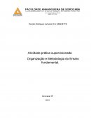 Organização e Metodologia do Ensino Fundamental.