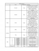 Classificação osteologia