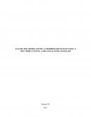 ANÁLISE DOS CRIMES CONTRA A PROPRIEDADE INTELECTURAL E DOS CRIMES CONTRA A ORGANIZAÇÃO DO TRABALHO