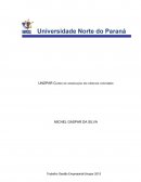 Gestão empresarial ciências Sociais