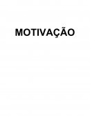 MOTIVAÇÃO IMPORTÂNCIA E INFLUÊNCIA