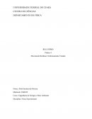 Relatório Física Experimental - Prática 4 - UFC