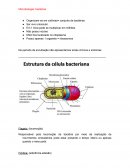 Microbiologia