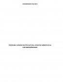 PROGRAMA CARBONO NEUTRO (NATURA): DESAFIOS AMBIENTAIS NA CONTEMPORÂNEIDADE