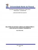 RELATÓRIO DO ESTÁGIO CURRICULAR OBRIGATÓRIO III – ANOS INICIAIS DO ENSINO FUNDAMENTAL