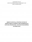 AMBIENTE CONTEXTUAL, ESTRATÉGIA E ESTÁGIO DE DESENVOLVIMENTO DA EMPRESA COMO DETERMINANTES DA ESTRUTURA ORGANIZACIONAL: UM ESTUDO EM UMA EMPRESA DE GRANDE PORTE