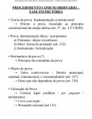 PROCEDIMENTO COMUM ORDINÁRIO – FASE INSTRUTÓRIA