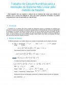 Trabalho de Cálculo Numérico para a resolução de Sistema Não Linear pelo método de Newton