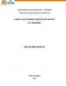 Analise bibliografica