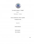 Processos Administrativos / Direito e Legislação