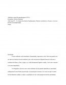 A evolução dos direitos fundamentais; Direitos econômicos e Sociais e os novos Direitos da Solidariedade.